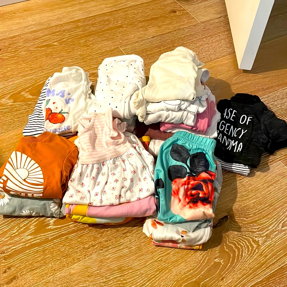 Lot of baby girl 12-18 month clothing!